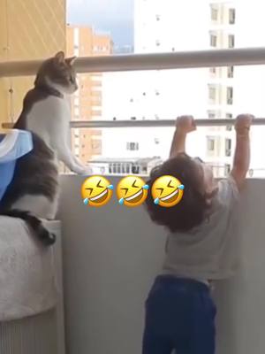 🤣🤣#catsoftiktok #petsoftiktok #animal #voiceover #funny #funnyvideos #foryou #viralvideo 