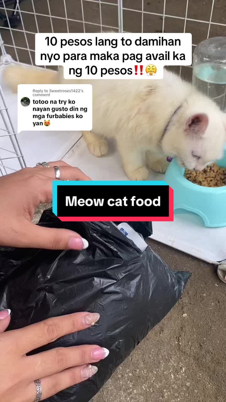 Replying to @Sweetroses1422 PINAKA MURA 10 pesos to 19 pesos nio lang to mabbili‼️ #catfood #catfoods #cattreats #cattreat #petfood #petfoods #catlover 