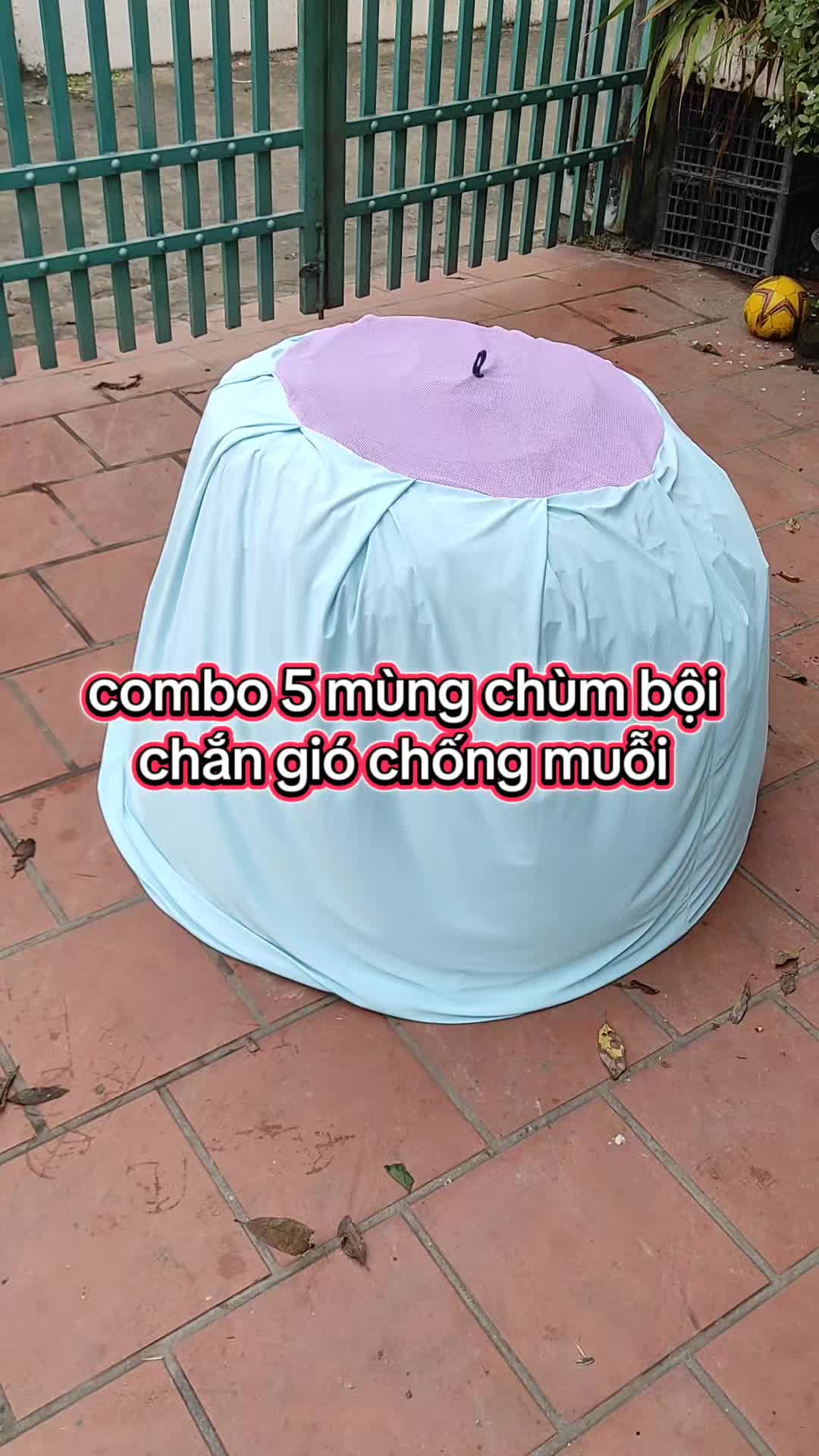 combo 5 mùng chùm bội gà