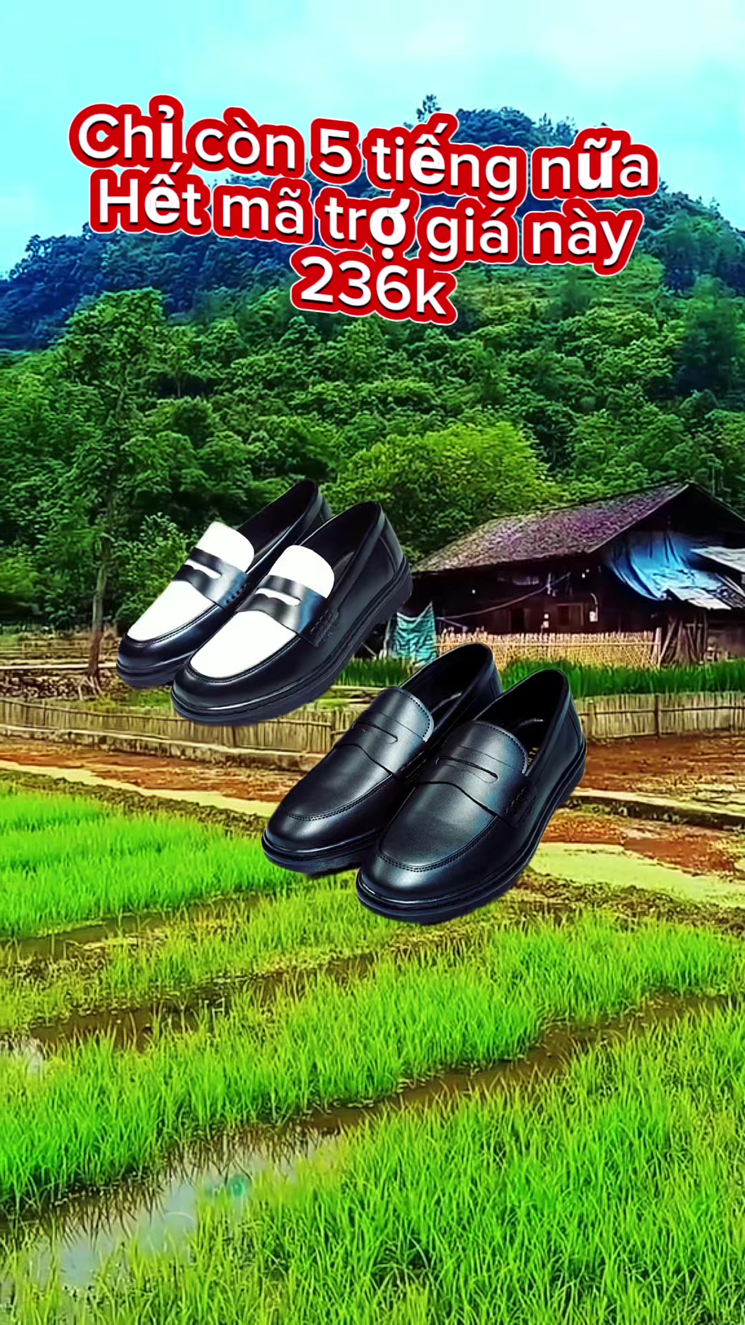 Giày penny loa #đang được trợ giá nè các Bồ ơi nhanh tay kẻo hết mã trợ giá này #thinhhanh #xuhuong #tiktok 