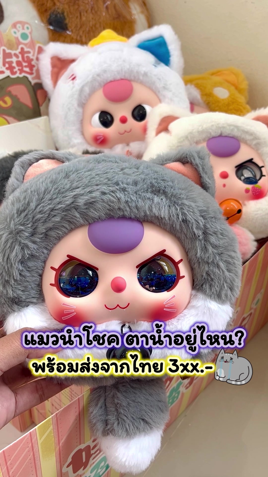 แมวนำโชค ตาน้ำอยู่ไหน? พร้อมส่งจากไทย 359.- เท่านั้นค่าา #รีวิวกล่องสุ่ม #กล่องสุ่ม #ตุ๊กตา #คอลใหม่ล่าสุด #พวงกุญแจ #กระเป๋า #กล่องสุ่มเบบี้ทรี #เบบี้ทรี #babythree #แมวนําโชค #เบบี้ทรีตากลิ้ง #เบบี้ทรีตาน้ํา #พร้อมส่ง 