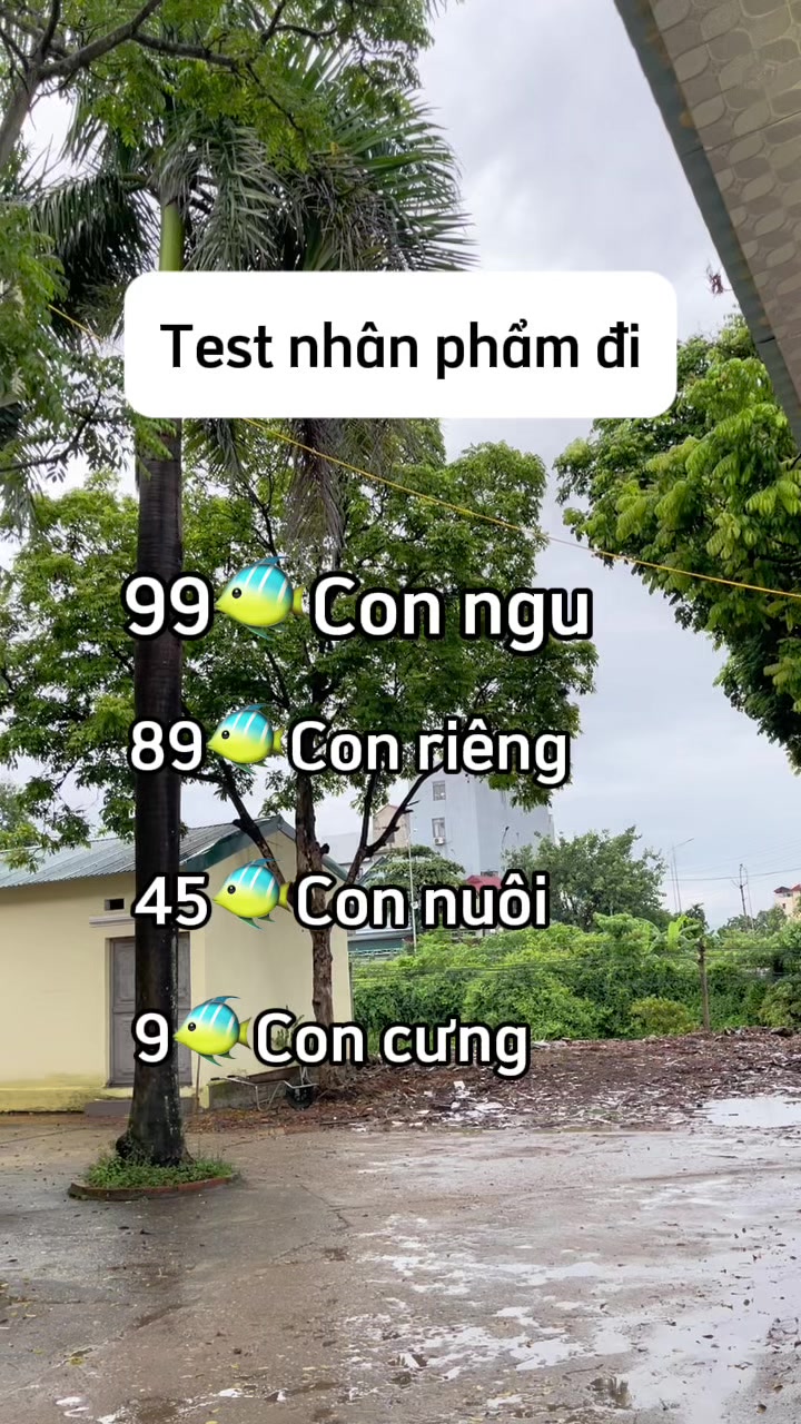 #xuhuong #khautrang5d #khautrang #khautrangchongnang #khautrangchongtiauv 