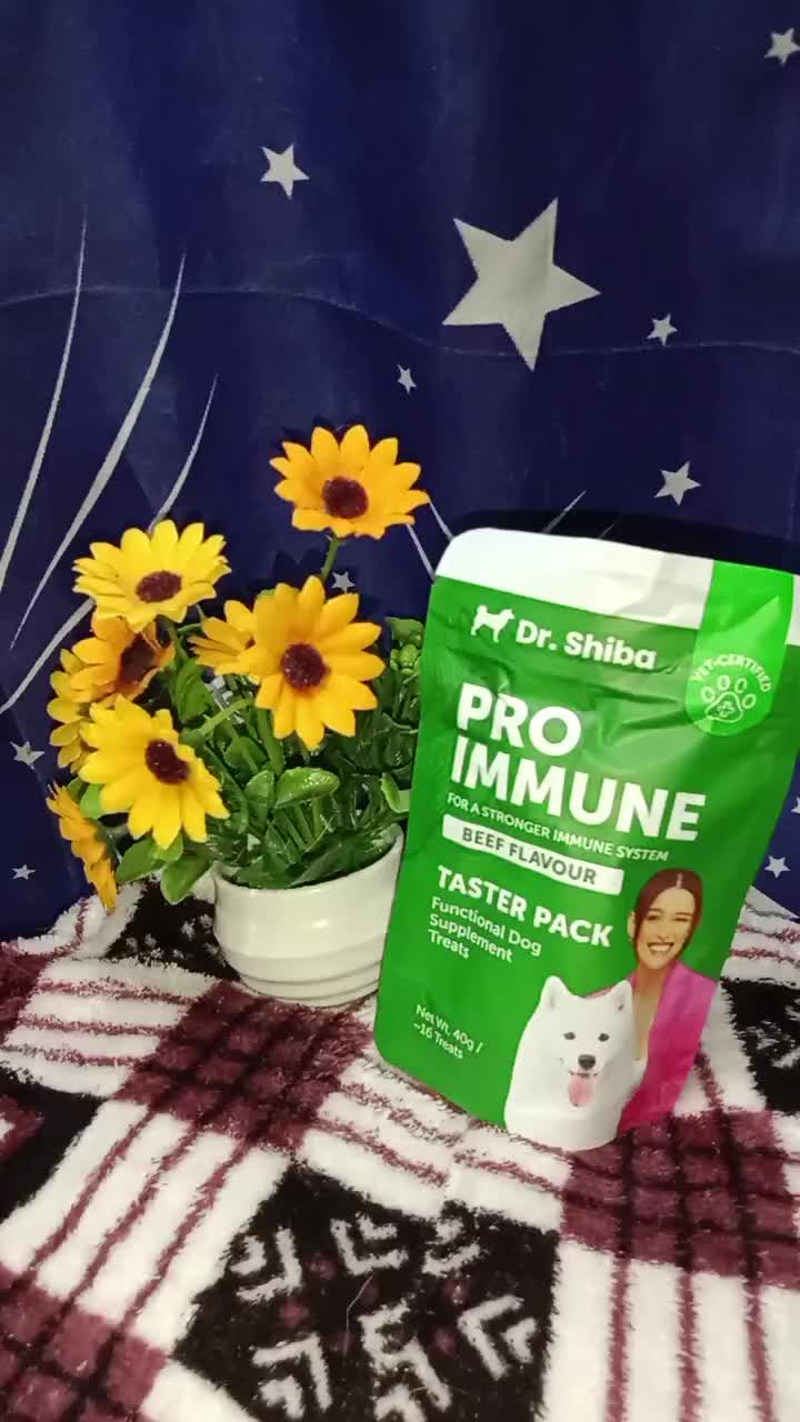 DR. SHIBA PRO IMMUNE  BEEF FLAVOR DOG SUPPLEMENT TREATS #drshibadogsupplement #drshiba #drshibadogtreats #loveyourdog #vetcertified #furbabylove #doglover #fypシ゚viral 