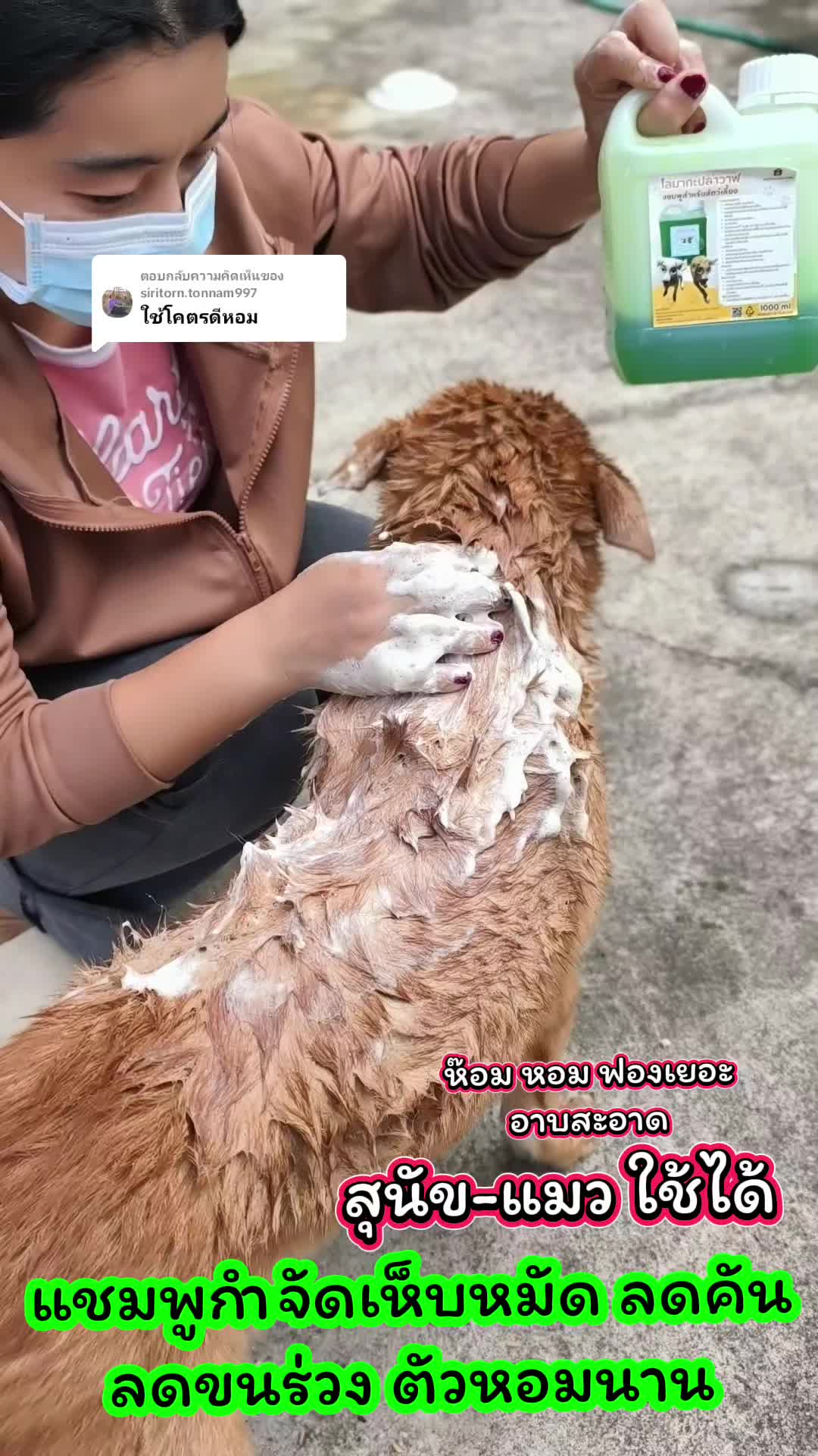 ตอบกลับ @siritorn.tonnam997 #นายหน้าtiktokshop #tiktokshop #tiktokshopครีเอเตอร์ #ฟีดดดシ #เปิดการมองเห็น #แชมพูสัตว์เลี้ยง #แชมพูสัตว์อ่อนโยน #แชมพูสุนัข #แชมพูสุนัขและแมว #แชมพูแมว #แชมพูแมวอ่อนโยน #แชมพูโลมากะปลาวาฬ #ทาสแมว #ทาสหมา #ทาสหมาทาสแมว #เทรนวันนี้ #อย่าปิดการมองเห็น 