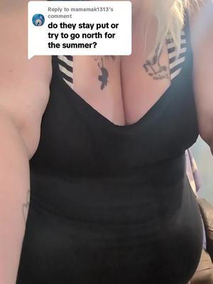 Replying to @mamamak1313 #TikTokShopBackToSchoolSale #TikTokShopSummerSale #tiktokshopbacktoschool #plussize #plussizeedition #plussizefashion #plussizetiktok #plussize 