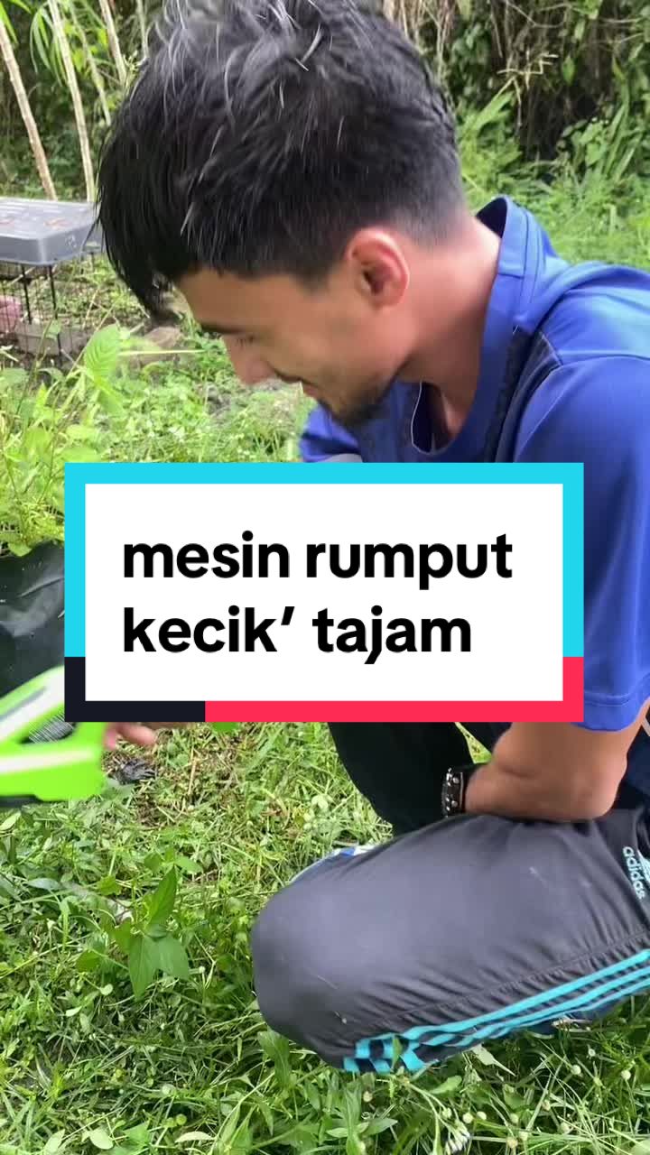 hedger trimmer cordless  #hedgertrimmer #mesinrumput #mesinrumputcordless #potongrumput #fyp #foryou 