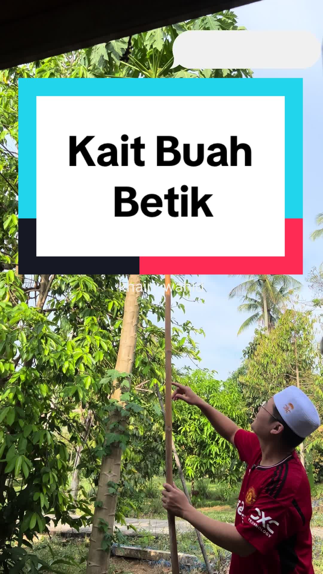 #pengait #pengaitbuah #pemetik #pemetikbuah #buah #buahbetik #viral #viralvideo #goodthing 