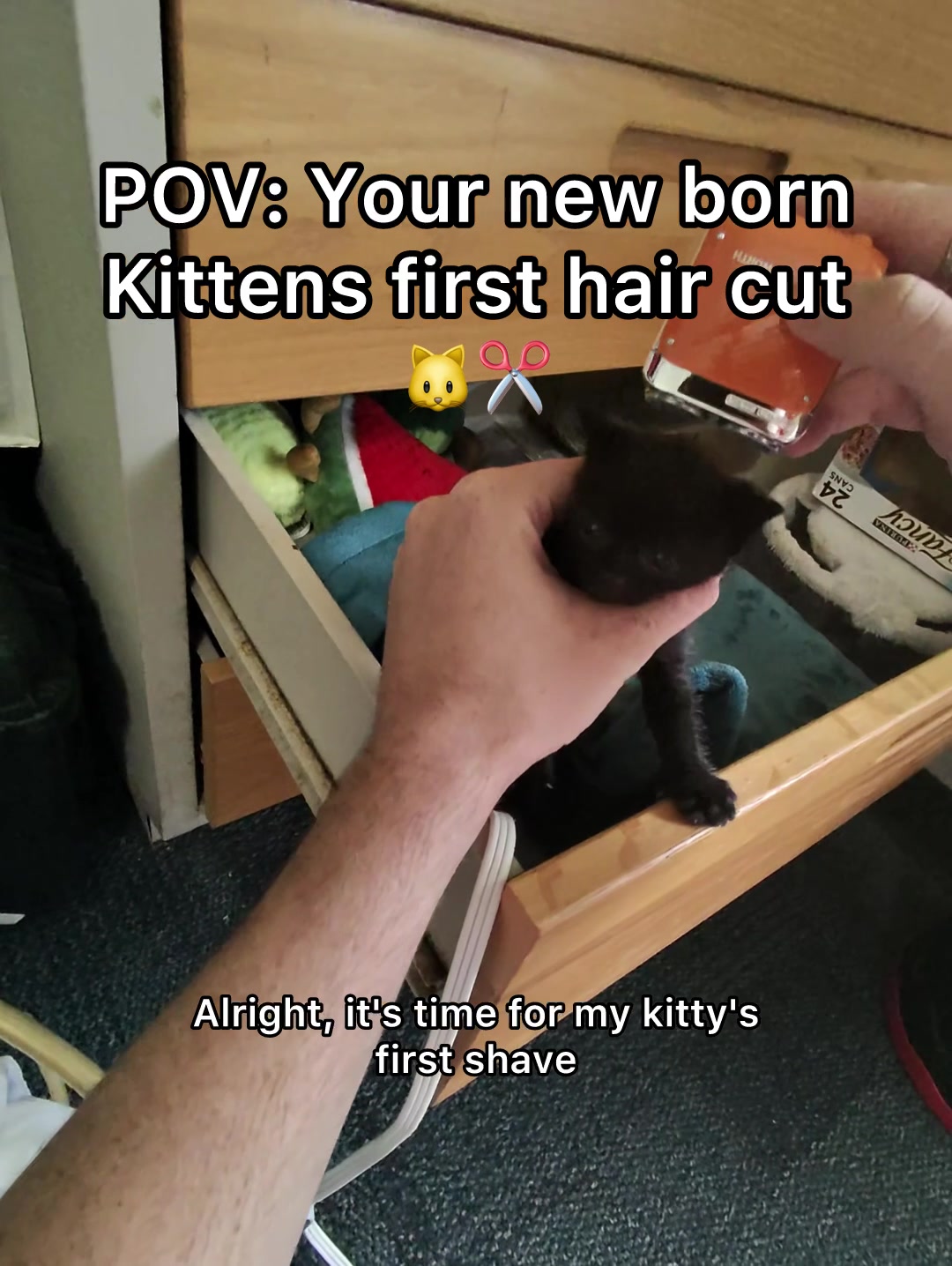 You guys thought 😆  #pov #newbornkitten #cat 