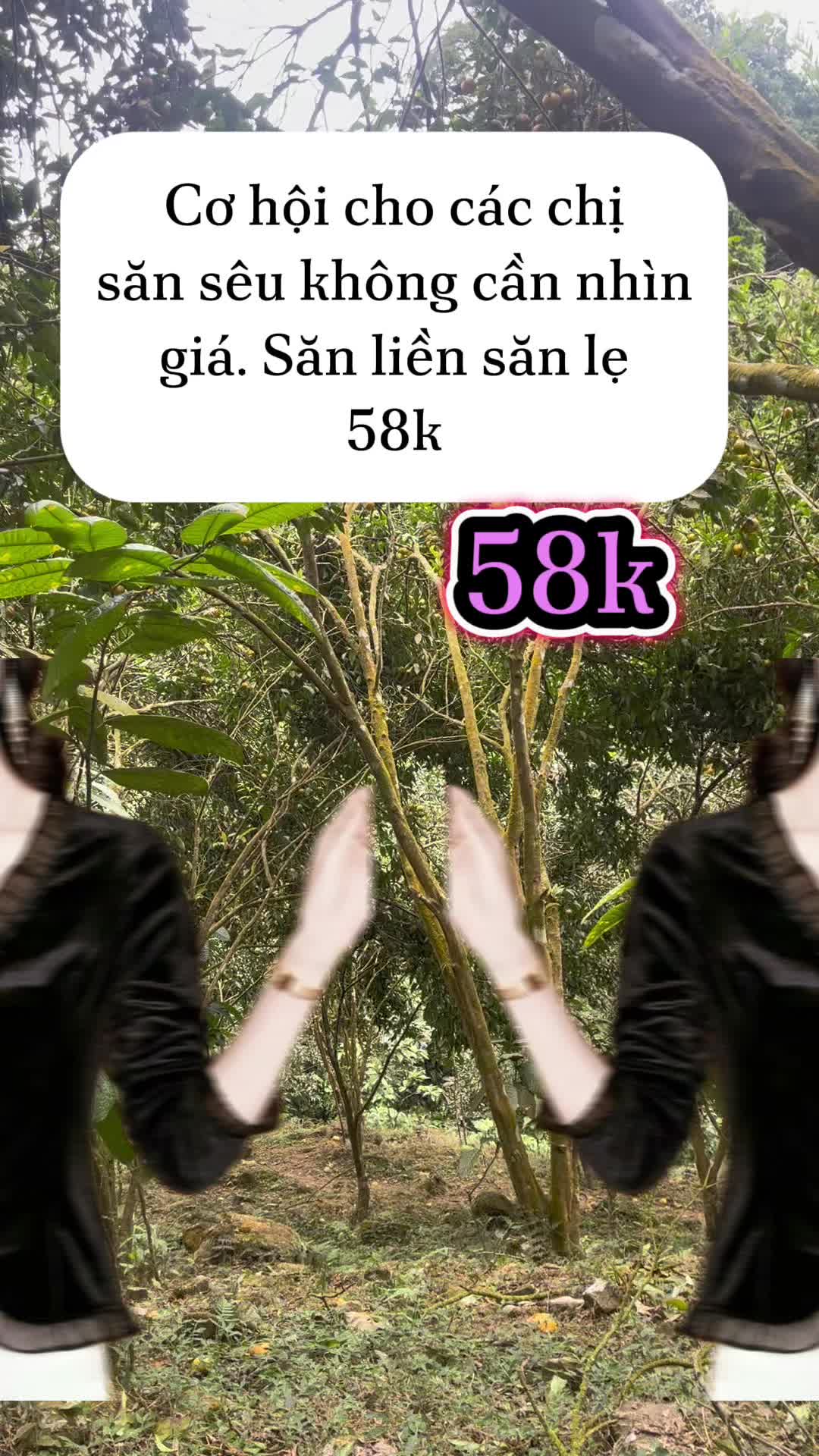 #xuhuongtiktok2024❤️🌈✔️ #aoxinh #aokieunu #aonu #aonhung #aotrungnien 