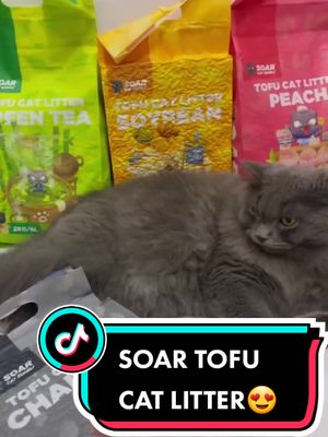 @rossjlo thanks for your review 🤩🤩#recommendations #tofucatlitter #pasirkucingforcats #soarcatsupply #soarcatlitter #palingmurah 