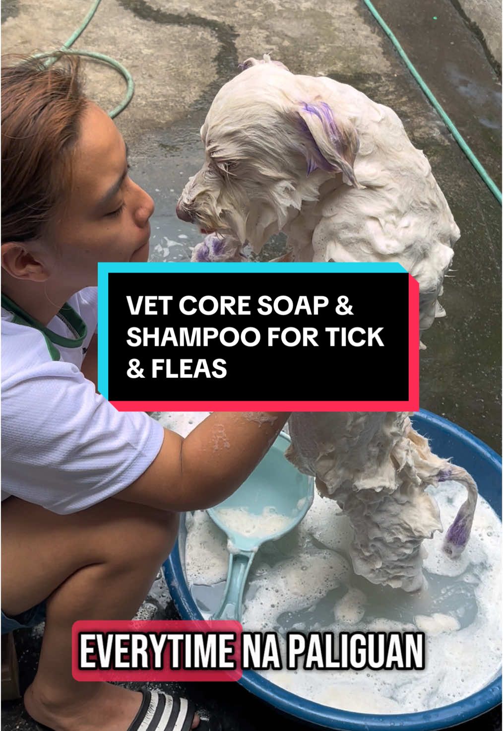 Marami ka rin dibang kuto at garapata tapos madalas mag kati? Naku ito na yung solusyon diyan ang vetcore soap & shampoo! 🤩🐶#vetcoresoap #vetcoreherbalsoap #dogsoapforvetcorelover #dogsoapfortickandflea #dogsoapfortickandflea #petsoaprecommendation #tickandfleasoap #tickandfleashampoo #dogsofttiktok #petsoftiktok #doglover #dogsoap 