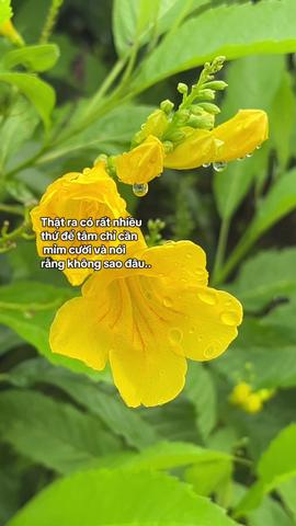 Cuộc sống #tamtrang #storytime #lyrics #reels #fyp #booktok #xh #xuhuong 