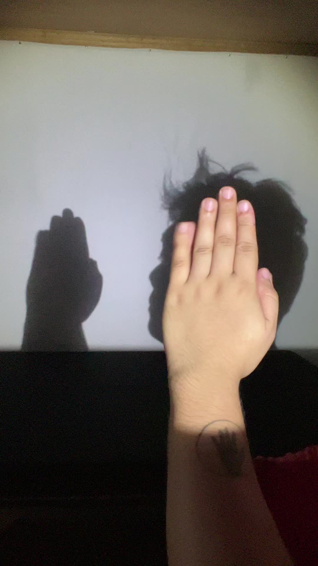 "NOT LIKE US!"😎 Did I make it to your FYP? 🔦✋🏻 #shadowace #fyp #viral 