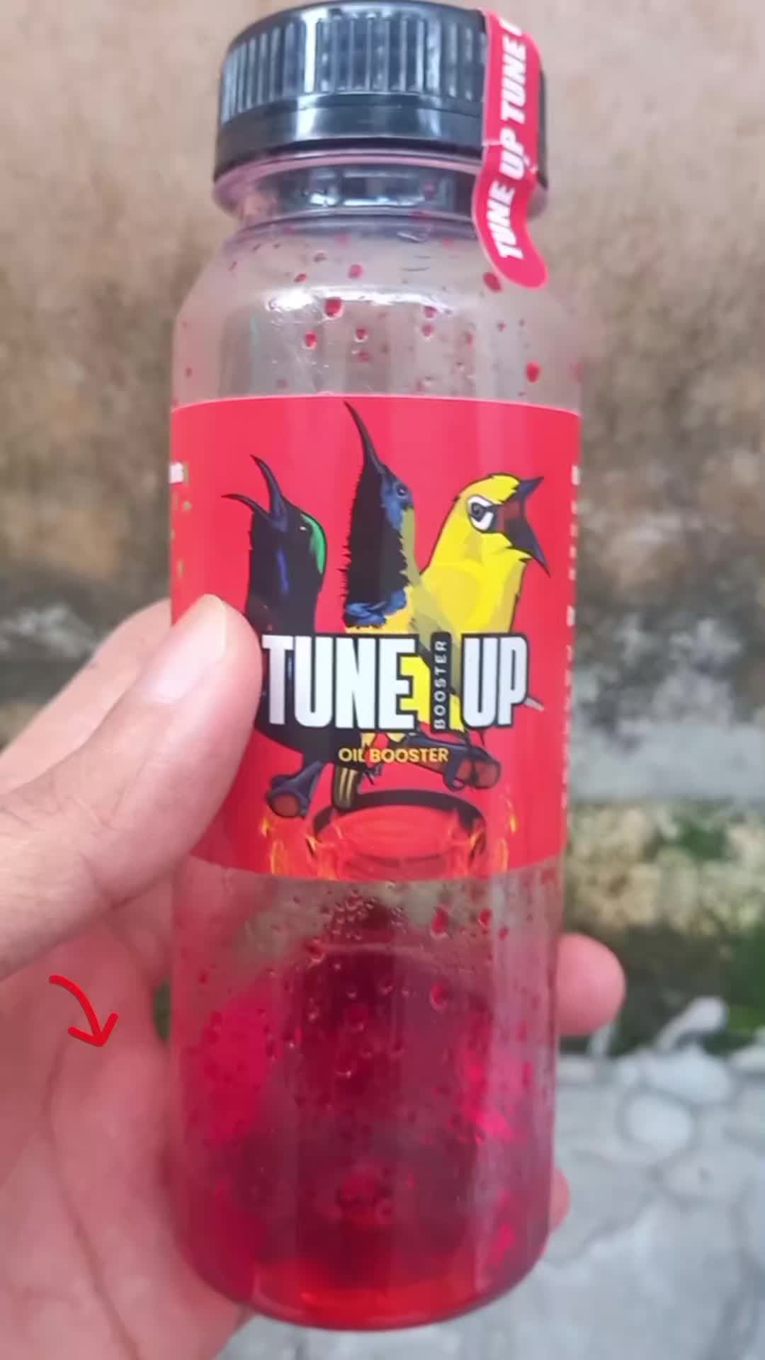 Tune up booster doping konin sogon pleci dosis tinggi #tuneupbooster #dopingkonin #dopingsogon #dopingpleci 