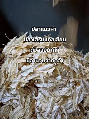 ปลาแมวผ่า ตากแห้ง ปลาเสริมแคลเซี่ยม  #ปลาแห้ง #ปลาเสริมเแคลเซี่ยม #พี่ลาร์ท่าศาลานครศรีฯ @พี่ลาร์ ท่าศาลา นครศรีฯ @พี่ลาร์ ท่าศาลา นครศรีฯ @พี่ลาร์ ท่าศาลา นครศรีฯ 
