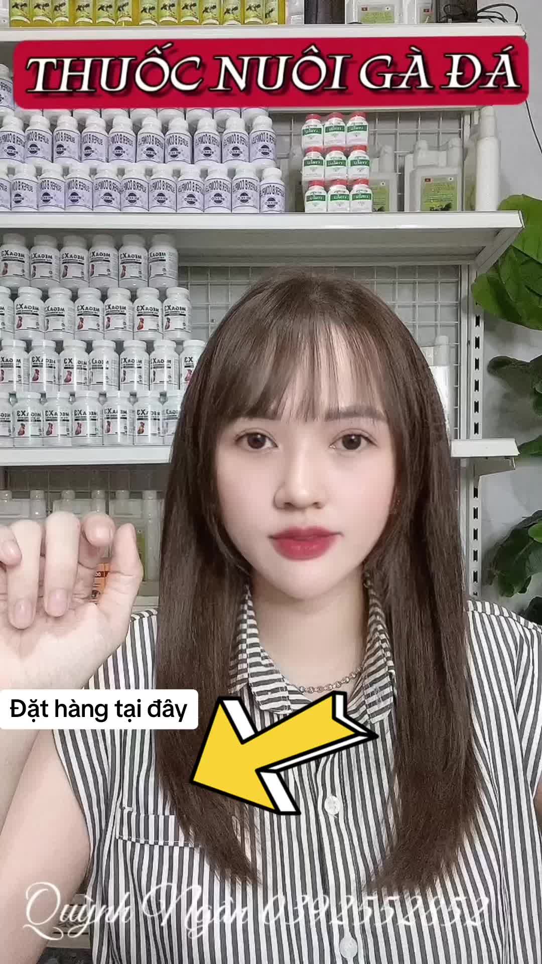 NUÔI BO CẤP TỐC