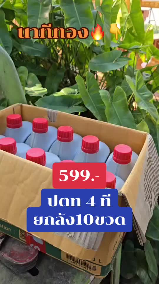 น้ำมันเครื่องปตทยกลัง 10 ขวดจัดราคาส่วนลดช่วง 3.3 นี้ใครสนใจกดสั่งในตะกร้าได้เลยครับ#ช่างซ่อมมอเตอร์ไซค์ #ช่างซ่อมรถ #ยางนอกมอเตอร์ไซค์ #น้ํามันเครื่องราคาส่ง #แนะนําน้ํามันเครื่อง #น้ํามันเครื่องปตท #ปตท 